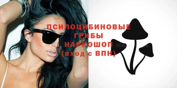 амфетамин Белокуриха