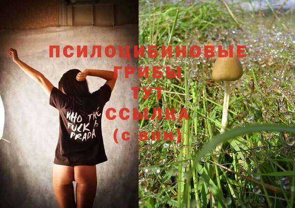 мет Баксан