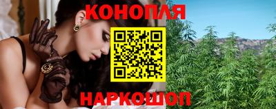ешки Гатчина