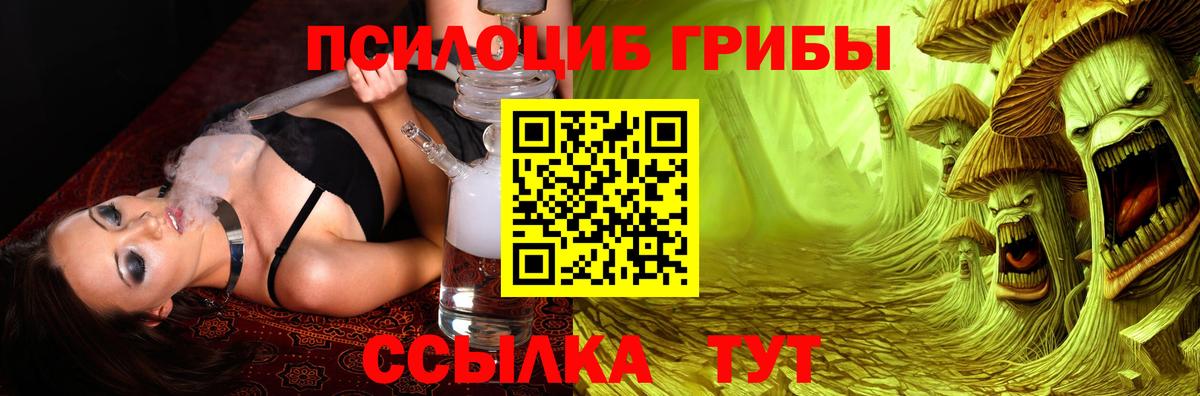 Печора  Галлюциногенные грибы Psilocybine cubensis  Псилоцибиновые грибы Cubensis  Вход с VPN 